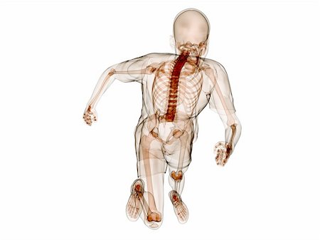 simsearch:400-04683335,k - 3d rendered illustration of a running human skeleton Stock Photo - Budget Royalty-Free & Subscription, Code: 400-04191108