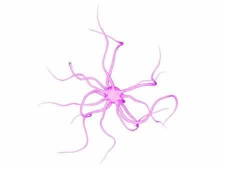 eraxion (artist) - 3d rendered close up of a nerve cell Fotografie stock - Microstock e Abbonamento, Codice: 400-04191142