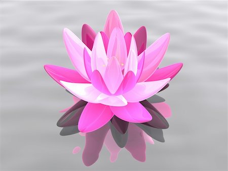 3d rendered illustration of a lotus flower on water Stock Photo - Budget Royalty-Free & Subscription, Code: 400-04191377