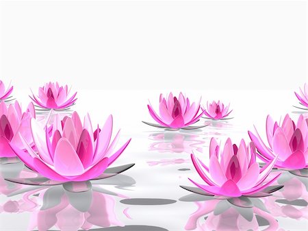 3d rendered illustration of elegant lotus flowers on water Stock Photo - Budget Royalty-Free & Subscription, Code: 400-04191370