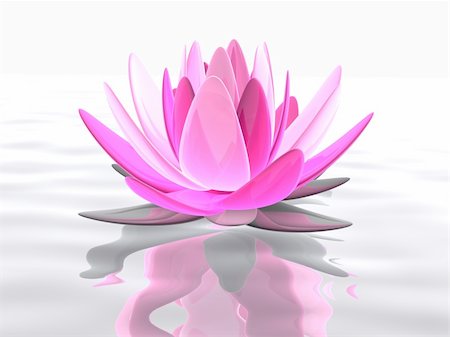 3d rendered illustration of a lotus flower on water Stock Photo - Budget Royalty-Free & Subscription, Code: 400-04191373