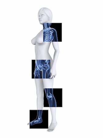 eraxion (artist) - 3d rendered illustration of a female body with healthy joints Fotografie stock - Microstock e Abbonamento, Codice: 400-04191521
