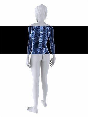 3d rendered illustration of a female body with healthy spine Foto de stock - Super Valor sin royalties y Suscripción, Código: 400-04191522