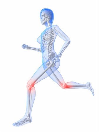 3d rendered illustration of a running female skeleton with highlighted joints Stock Photo - Budget Royalty-Free & Subscription, Code: 400-04191530