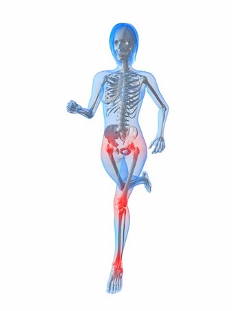 3d rendered illustration of a running female skeleton with highlighted joints Stock Photo - Budget Royalty-Free & Subscription, Code: 400-04191532