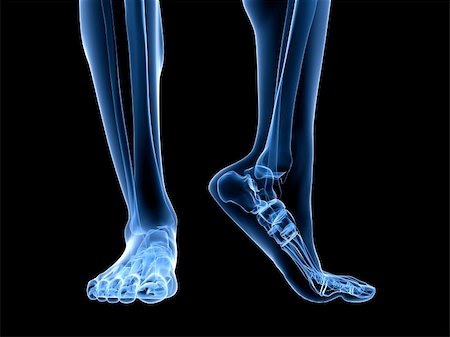 3d rendered illustration of transparent foots with healthy ankles Stock Photo - Budget Royalty-Free & Subscription, Code: 400-04191623