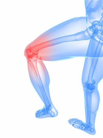 3d rendered illustration of a skeletal leg with highlighted knee joint Stock Photo - Budget Royalty-Free & Subscription, Code: 400-04191655