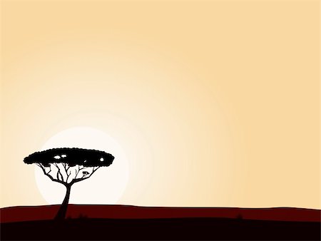 simsearch:400-04815686,k - Vector illustration of black tree on yellow sunset background. Big copyspace - write your own text! Foto de stock - Super Valor sin royalties y Suscripción, Código: 400-04192873