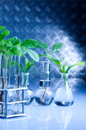 Ecology laboratory. Stock Photo - Budget Royalty-Free & Subscription, Code: 400-04193880