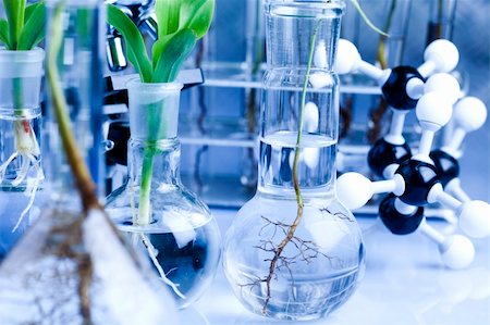 Ecology laboratory. Stock Photo - Budget Royalty-Free & Subscription, Code: 400-04193898