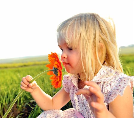 simsearch:400-04204275,k - Adorable little girl smells the wild flowers in the meadow Foto de stock - Super Valor sin royalties y Suscripción, Código: 400-04204254