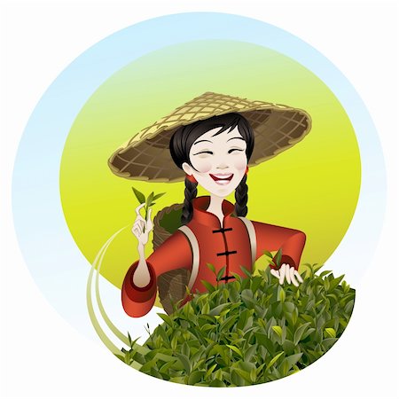 Chinese girl reaps a tea crop. There is a tea bush in front. Girl wears the traditional chinese dress. Stock Photo - Budget Royalty-Free & Subscription, Code: 400-04205485