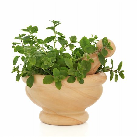 Oregano herb leaf sprigs in a marble mortar with pestle, isolated over white background. Origanum. Photographie de stock - Aubaine LD & Abonnement, Code: 400-04205909