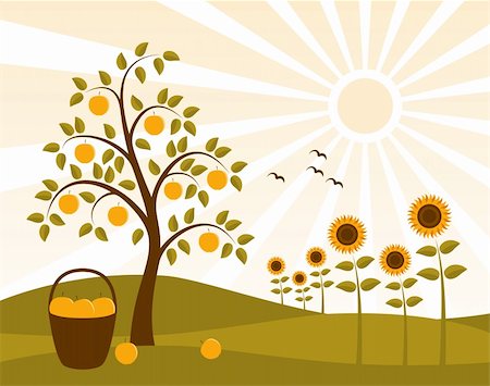 vector landscape with apple tree and sunflowers, Adobe Illustrator 8 format Stock Photo - Budget Royalty-Free & Subscription, Code: 400-04205968