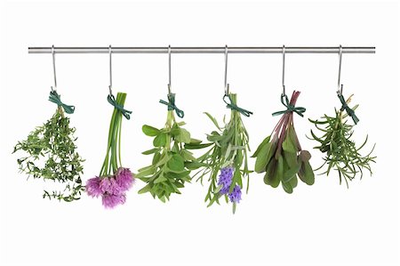 Herb leaf and flower  bunches of thyme, chives, oregano, lavender, sage and rosemary hanging and drying on a stainless steel pole, isolated over white background. Photographie de stock - Aubaine LD & Abonnement, Code: 400-04205989