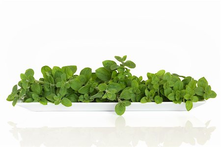 Oregano herb leaf sprigs in a white porcelain dish, isolated over white background. Origanum. Photographie de stock - Aubaine LD & Abonnement, Code: 400-04205999