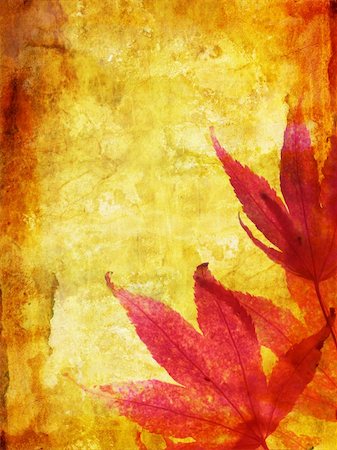 simsearch:400-05175990,k - Beautiful autumn, grungy background with maple leaves Stock Photo - Budget Royalty-Free & Subscription, Code: 400-04206134
