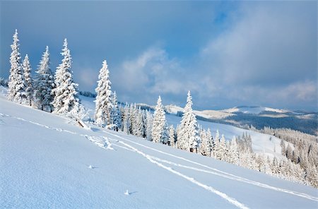 simsearch:400-04319458,k - Morning winter calm mountain landscape with beautiful fir trees  on slope (Kukol Mount, Carpathian Mountains, Ukraine) Stock Photo - Budget Royalty-Free & Subscription, Code: 400-04206279