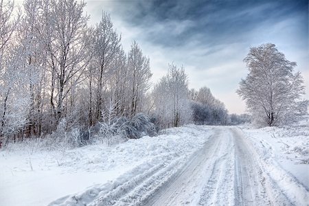 simsearch:400-05063238,k - winter road, trees and bushes Stock Photo - Budget Royalty-Free & Subscription, Code: 400-04206308