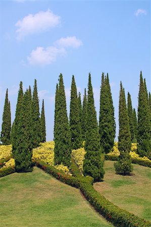 simsearch:400-07830872,k - Cypress trees and flower beds in botanical garden Foto de stock - Royalty-Free Super Valor e Assinatura, Número: 400-04206706