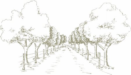 Pen and ink style illustration of a tree shaded road. Foto de stock - Super Valor sin royalties y Suscripción, Código: 400-04206989