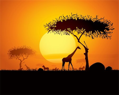 south africa scene tree - silhouette of animals and trees in africa sunset background. Stock Photo - Budget Royalty-Free & Subscription, Code: 400-04207544