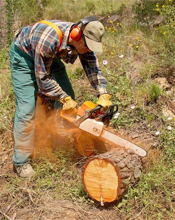 safety gear for logging and forestry - Lumberjack in action Stock Photo - Budget Royalty-Free & Subscription, Code: 400-04207557