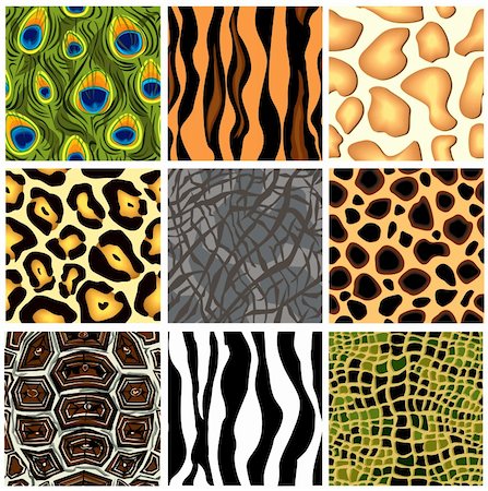 rainforest camouflage - Set seamless the patterns animals. Vector illustration Stock Photo - Budget Royalty-Free & Subscription, Code: 400-04208317