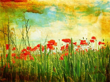 Grungy background with poppies Foto de stock - Royalty-Free Super Valor e Assinatura, Número: 400-04208365