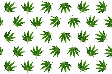 rastafarian - Background formed with hemp (marijuana) leaves. Stock Photo - Budget Royalty-Free & Subscription, Code: 400-04208470