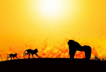 forest fire silhouette - monkeys running away from fire in savanna Stock Photo - Budget Royalty-Free & Subscription, Code: 400-04208514