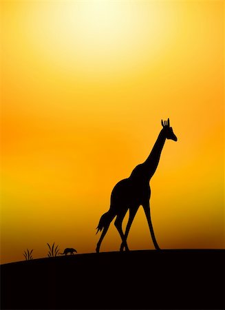 simsearch:400-05190366,k - illustration of giraffe silhouette in savanna Stock Photo - Budget Royalty-Free & Subscription, Code: 400-04208513