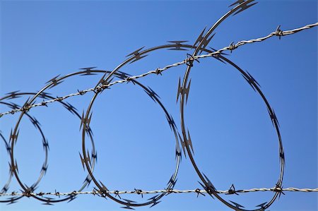 photosurfer (artist) - Barbed wire and concertina wire atop a fence protect a secure area. Horizontal shot. Stock Photo - Budget Royalty-Free & Subscription, Code: 400-04208718