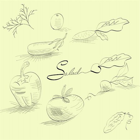 simsearch:400-04393823,k - Sketch with vegetables Stockbilder - Microstock & Abonnement, Bildnummer: 400-04208730