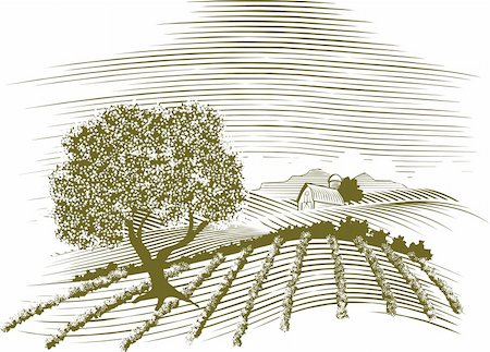 Woodcut style illustration of a farm scene with a barn in the background. Stock Photo - Budget Royalty-Free & Subscription, Code: 400-04208904