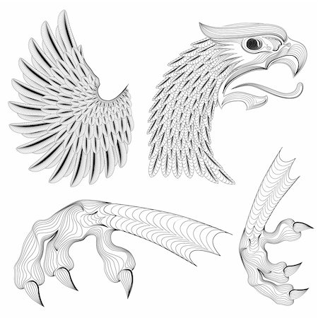 drawing eagle clipart - Detailed illustration of eagle wing and talons, easy to change colors. Stock Photo - Budget Royalty-Free & Subscription, Code: 400-04209618