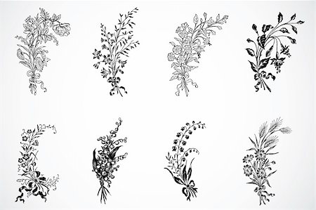 simsearch:400-04710729,k - Set of highly detailed vector floral ornaments. Easy to edit. Foto de stock - Super Valor sin royalties y Suscripción, Código: 400-04209628