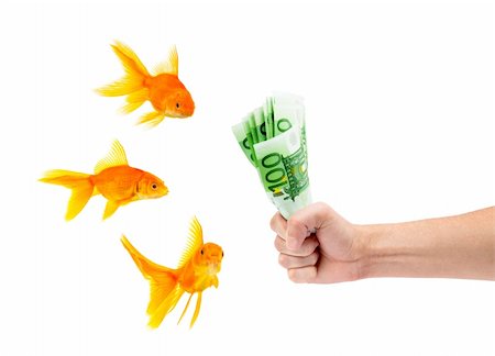 simsearch:400-05911395,k - Goldfish with money on a white background Stockbilder - Microstock & Abonnement, Bildnummer: 400-04201602