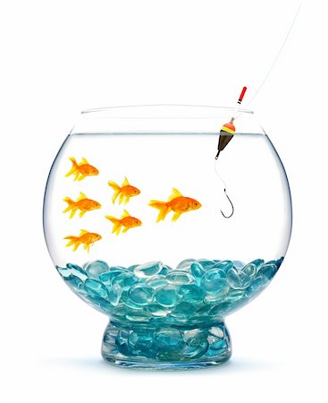 simsearch:400-06080242,k - Goldfish in aquarium on white background Foto de stock - Super Valor sin royalties y Suscripción, Código: 400-04201614