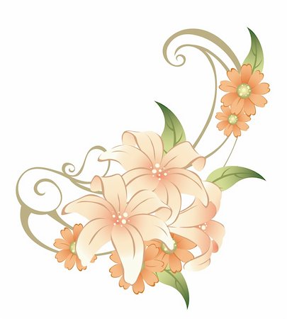 simsearch:400-05235157,k - drawing of beautiful flower in a white background Stock Photo - Budget Royalty-Free & Subscription, Code: 400-04201935