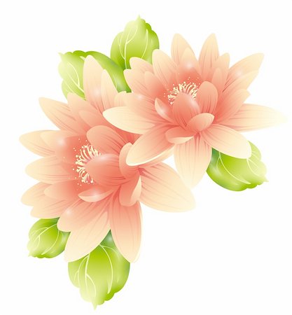 simsearch:400-05235157,k - illustration drawing of  flowers with green leaves Stock Photo - Budget Royalty-Free & Subscription, Code: 400-04201951