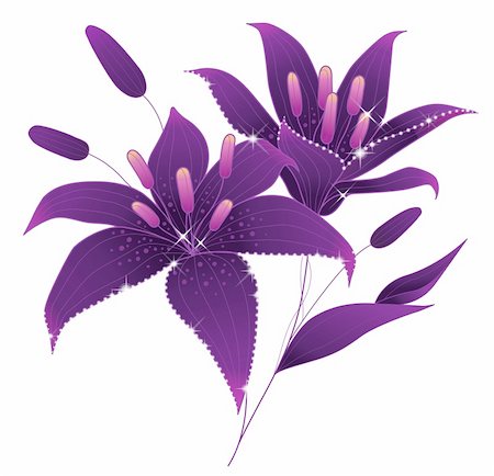 simsearch:400-04697736,k - illustration drawing of beautiful flower with shine Photographie de stock - Aubaine LD & Abonnement, Code: 400-04202473