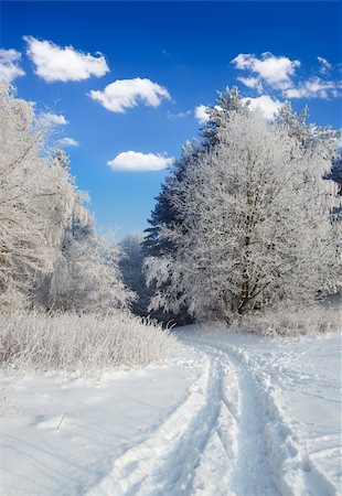 simsearch:400-05063238,k - winter landscape, path in the snow leading to a forest Stock Photo - Budget Royalty-Free & Subscription, Code: 400-04202544
