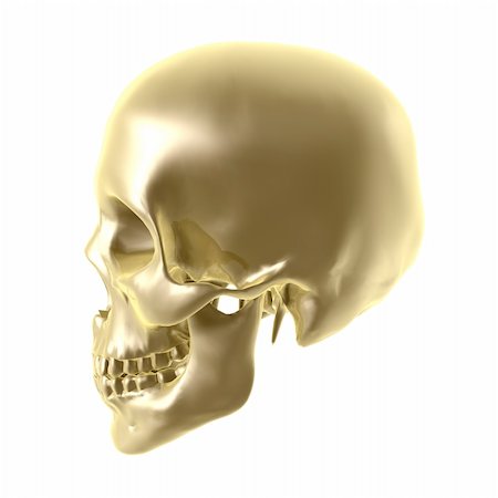 pirate dead - shiny golden skull isolated on white background Stock Photo - Budget Royalty-Free & Subscription, Code: 400-04202780