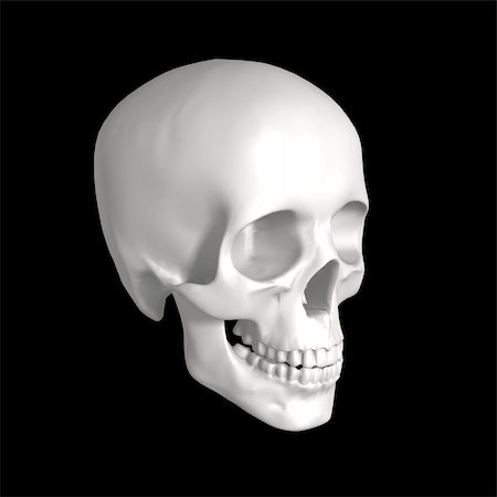 pirate dead - white human skull isolated on dark background Stock Photo - Budget Royalty-Free & Subscription, Code: 400-04202987