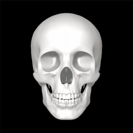 pirate dead - white human skull isolated on dark background Stock Photo - Budget Royalty-Free & Subscription, Code: 400-04202988