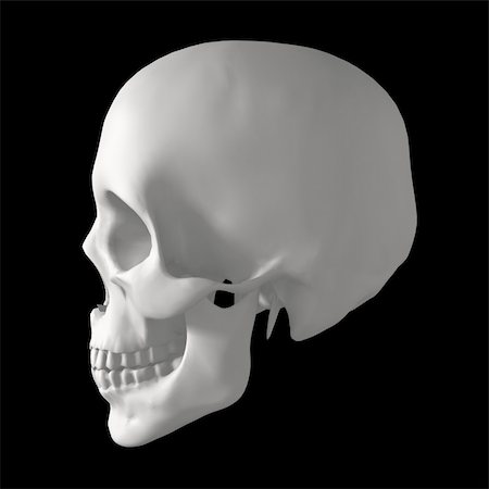 pirate dead - white human skull isolated on dark background Stock Photo - Budget Royalty-Free & Subscription, Code: 400-04202989