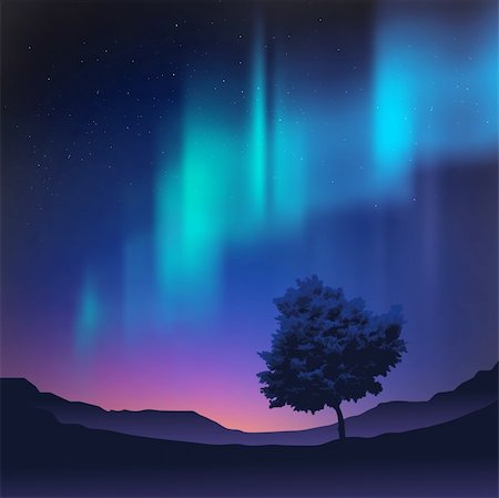 The northern lights with a tree in the foreground, vector illustration. Stock Photo - Budget Royalty-Free & Subscription, Code: 400-04203314