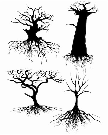 Four different Old tree Silhouettes with roots Stock Photo - Budget Royalty-Free & Subscription, Code: 400-04214027