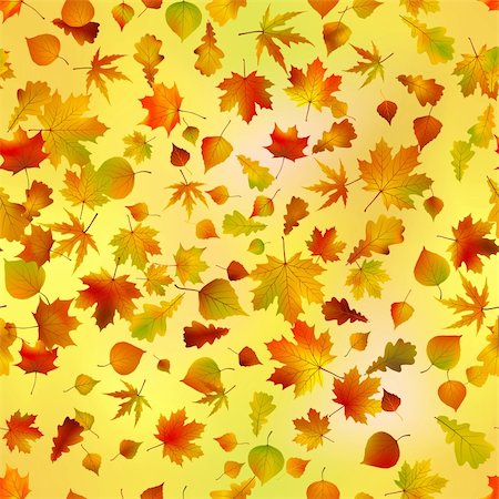 simsearch:400-04279579,k - Stock Vector Illustration: seamless autumnal background with leaves of maple Stock Photo - Budget Royalty-Free & Subscription, Code: 400-04214450